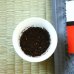 画像2: 有機紅茶　かおりティーバッグ (2)