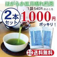 ほがらか五月晴れ煎茶100ｇ×２本セット〈ネコポス発送〉〈代引き不可〉〈配達日指定不可〉