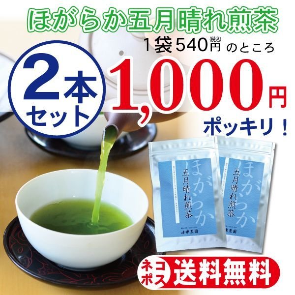 画像1: ほがらか五月晴れ煎茶100ｇ×２本セット〈ネコポス発送〉〈代引き不可〉〈配達日指定不可〉