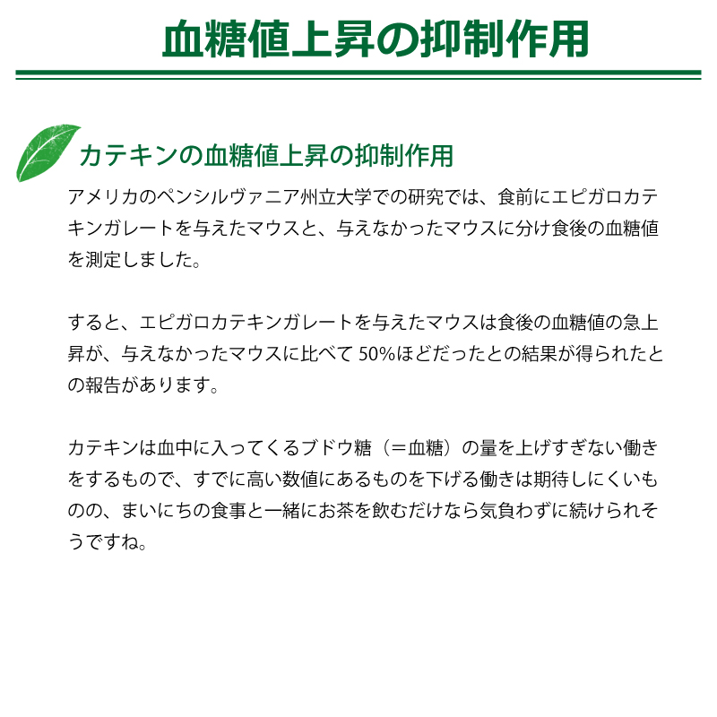 カテキンの血糖値上昇の抑制作用