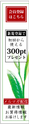 新規登録300ポイントプレゼント