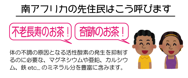 南アフリカの先住民は「奇跡のお茶」と呼びます