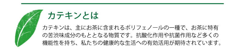 カテキンで健康生活