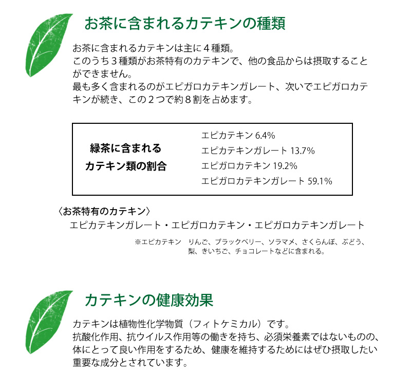 カテキンの種類と健康効果