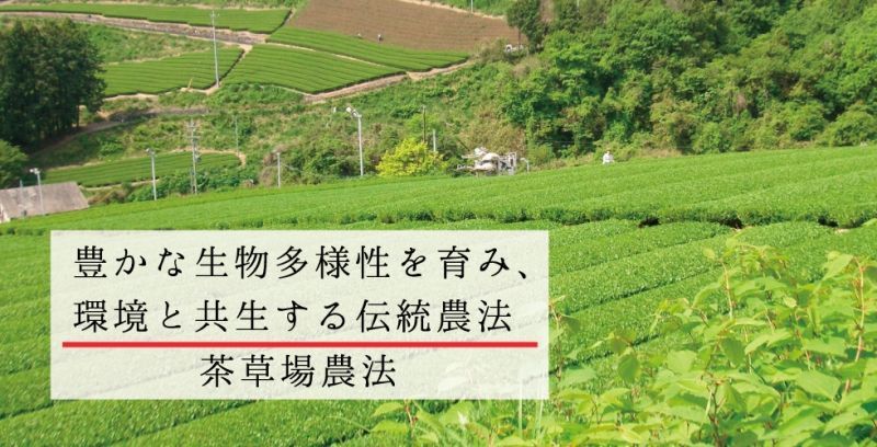 豊かな生物多様性を育み、環境と共生する伝統農法「茶草場農法」ページトップ画像